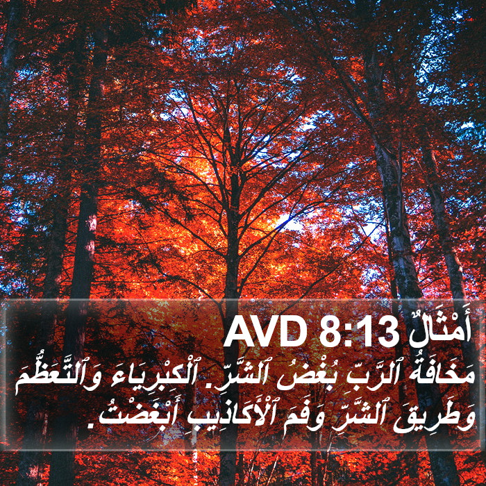 أَمْثَالٌ 8:13 AVD Bible Study