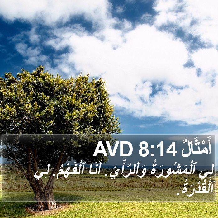 أَمْثَالٌ 8:14 AVD Bible Study