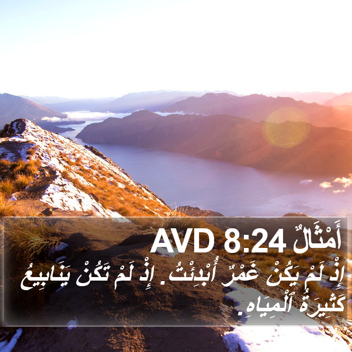 أَمْثَالٌ 8:24 AVD Bible Study