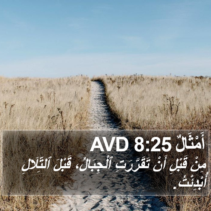أَمْثَالٌ 8:25 AVD Bible Study