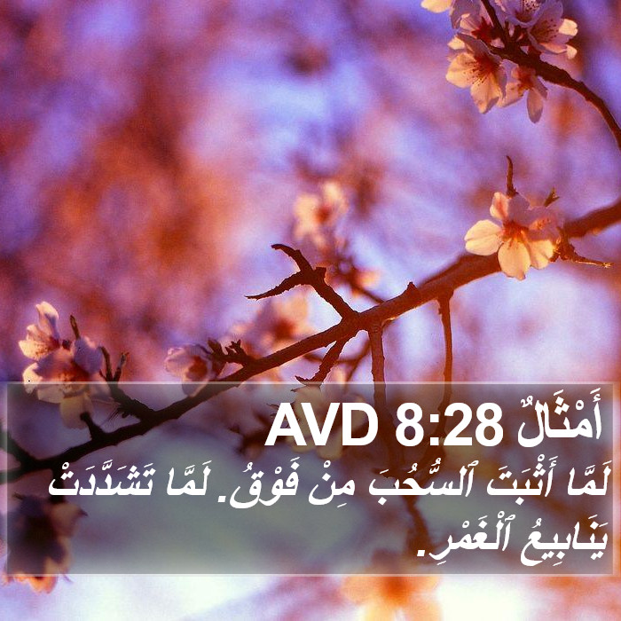 أَمْثَالٌ 8:28 AVD Bible Study