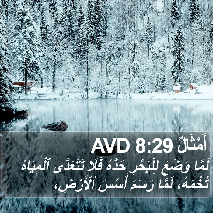 أَمْثَالٌ 8:29 AVD Bible Study