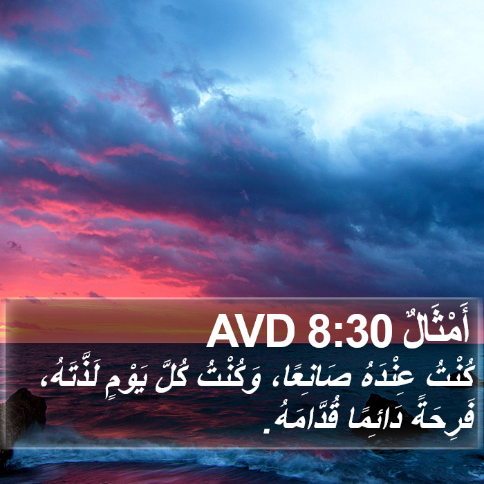 أَمْثَالٌ 8:30 AVD Bible Study