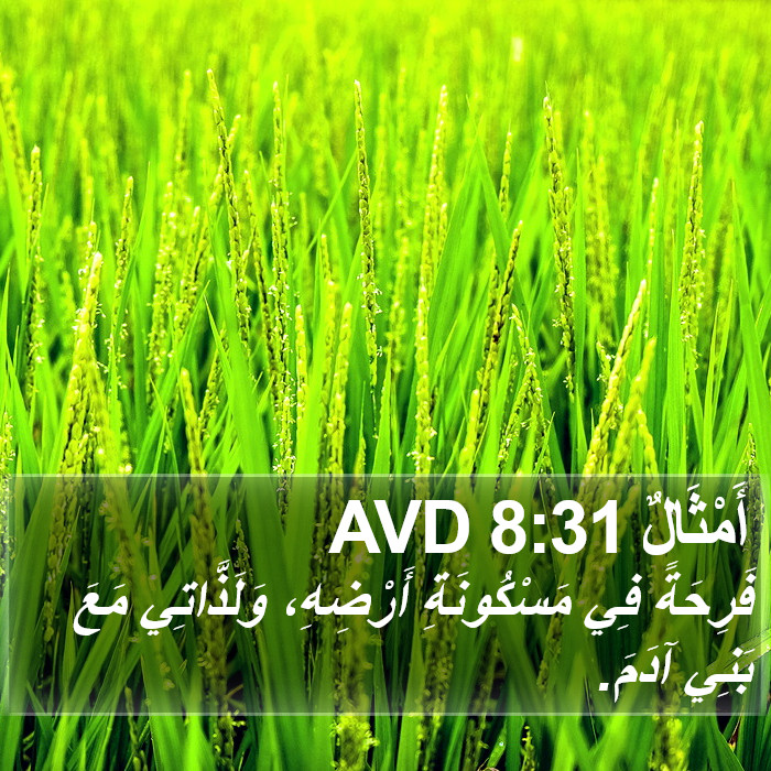 أَمْثَالٌ 8:31 AVD Bible Study