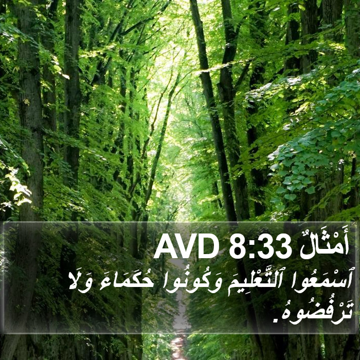 أَمْثَالٌ 8:33 AVD Bible Study