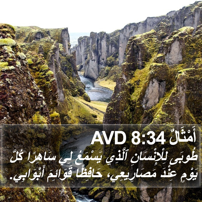 أَمْثَالٌ 8:34 AVD Bible Study
