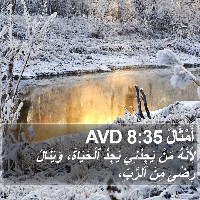 أَمْثَالٌ 8:35 AVD Bible Study