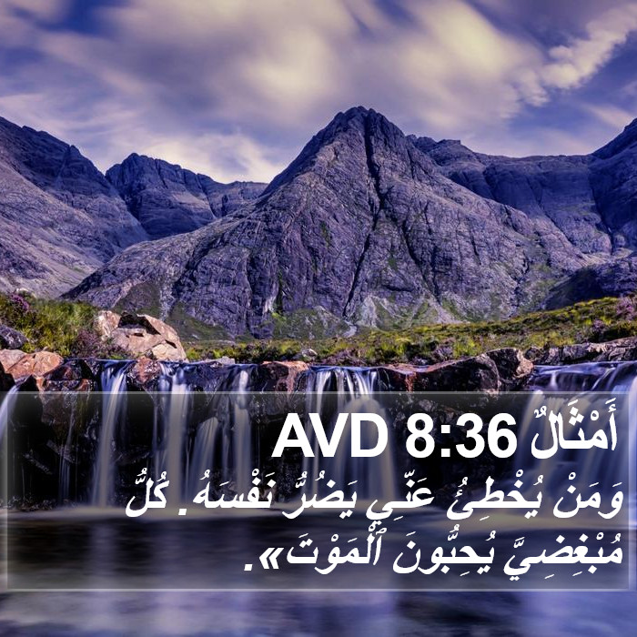 أَمْثَالٌ 8:36 AVD Bible Study