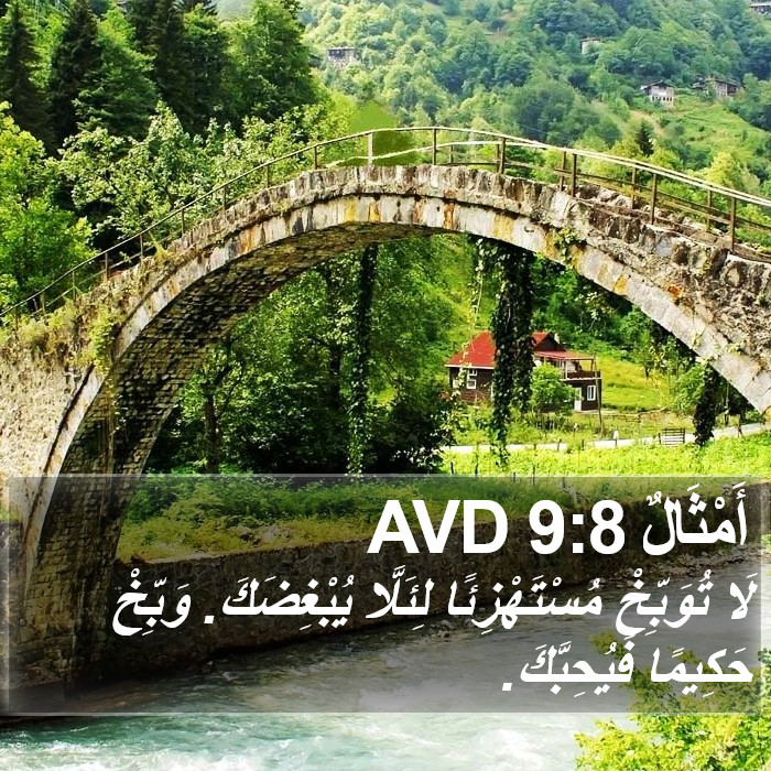 أَمْثَالٌ 9:8 AVD Bible Study