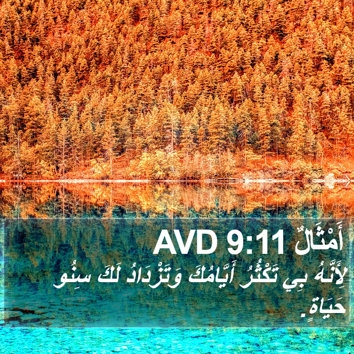 أَمْثَالٌ 9:11 AVD Bible Study