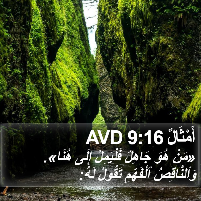 أَمْثَالٌ 9:16 AVD Bible Study