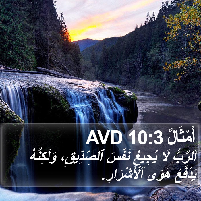 أَمْثَالٌ 10:3 AVD Bible Study