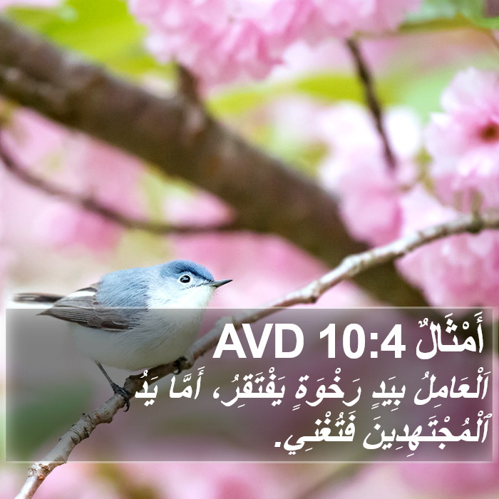 أَمْثَالٌ 10:4 AVD Bible Study