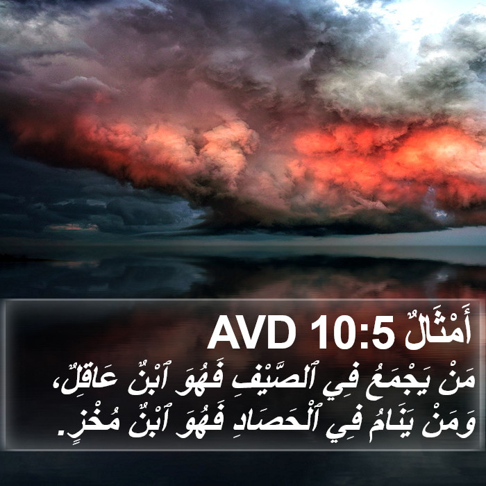 أَمْثَالٌ 10:5 AVD Bible Study