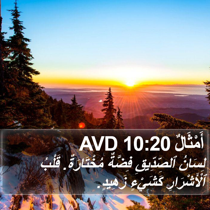 أَمْثَالٌ 10:20 AVD Bible Study