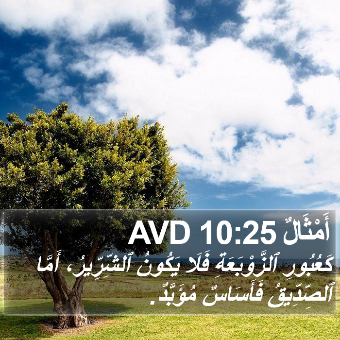 أَمْثَالٌ 10:25 AVD Bible Study