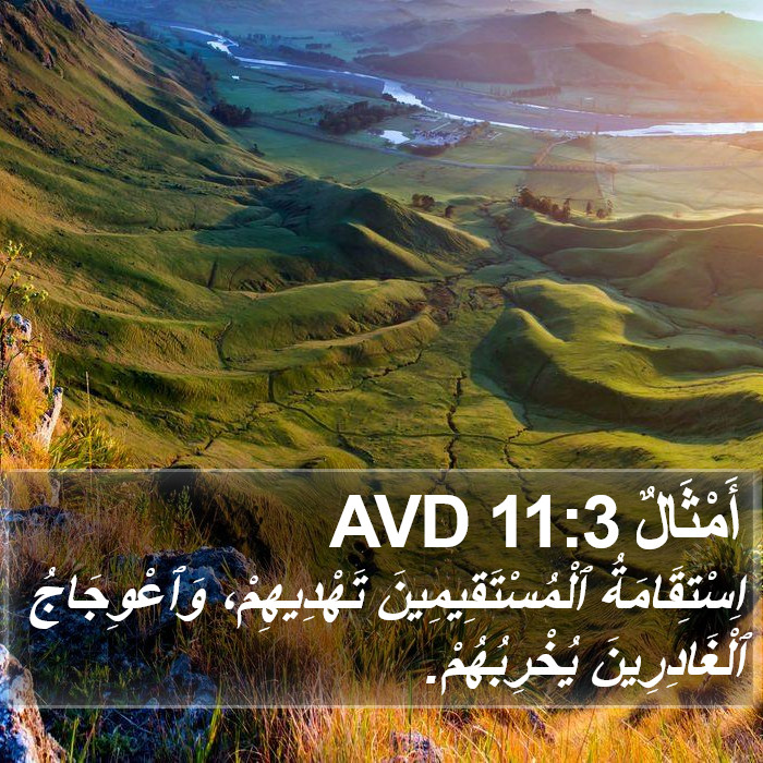 أَمْثَالٌ 11:3 AVD Bible Study