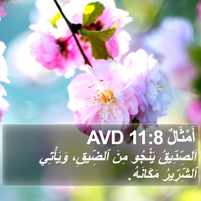 أَمْثَالٌ 11:8 AVD Bible Study