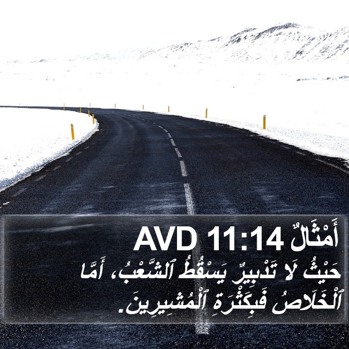 أَمْثَالٌ 11:14 AVD Bible Study