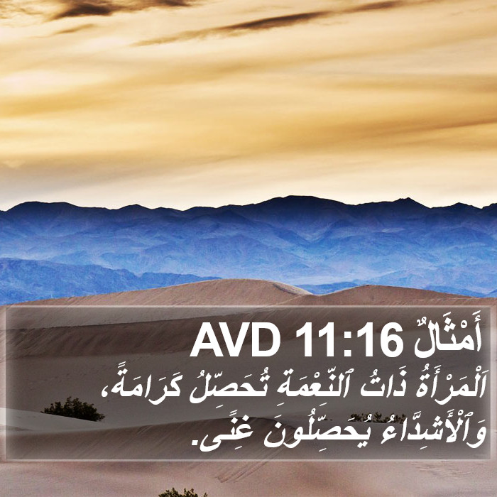 أَمْثَالٌ 11:16 AVD Bible Study