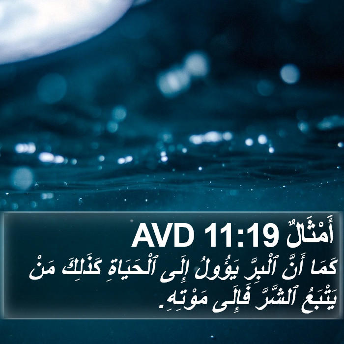 أَمْثَالٌ 11:19 AVD Bible Study