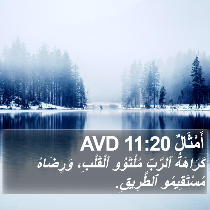 أَمْثَالٌ 11:20 AVD Bible Study