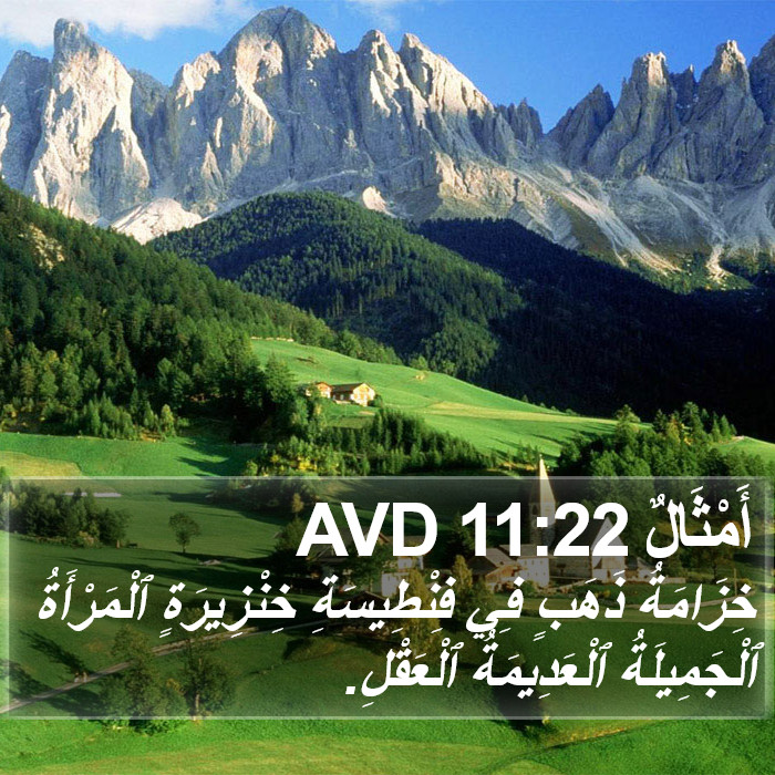 أَمْثَالٌ 11:22 AVD Bible Study