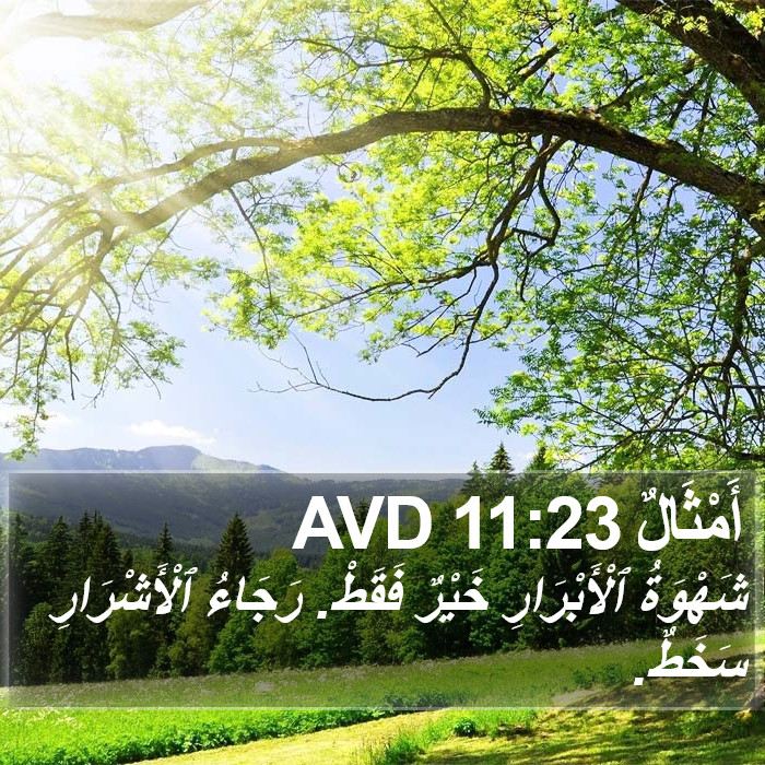 أَمْثَالٌ 11:23 AVD Bible Study