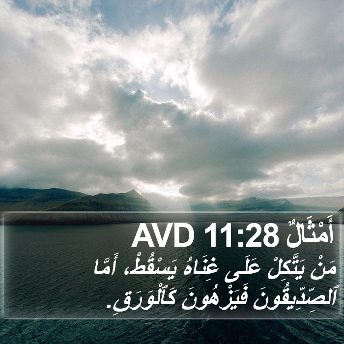 أَمْثَالٌ 11:28 AVD Bible Study