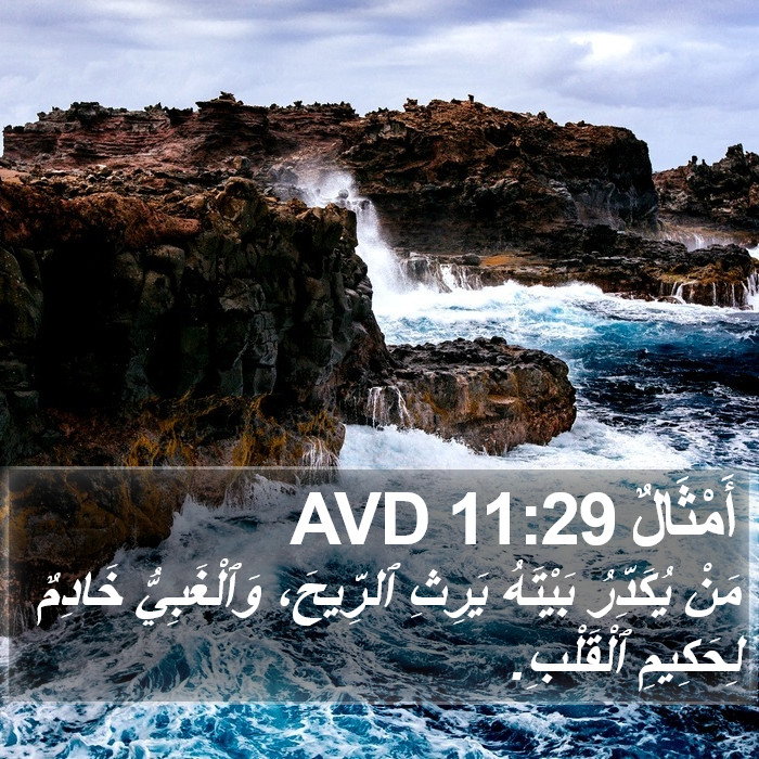 أَمْثَالٌ 11:29 AVD Bible Study