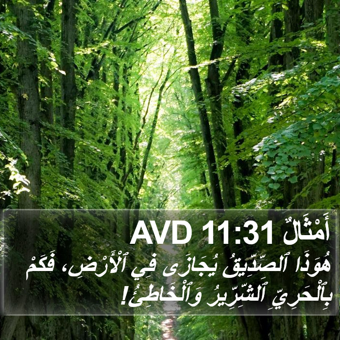 أَمْثَالٌ 11:31 AVD Bible Study