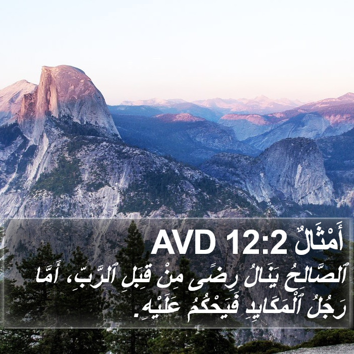 أَمْثَالٌ 12:2 AVD Bible Study