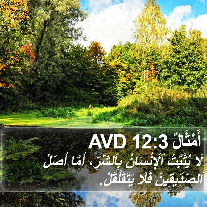 أَمْثَالٌ 12:3 AVD Bible Study