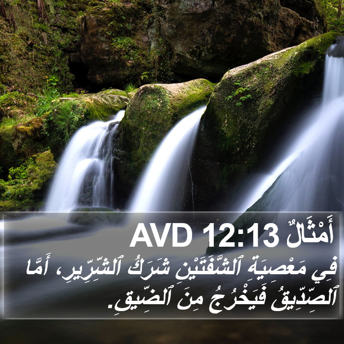 أَمْثَالٌ 12:13 AVD Bible Study