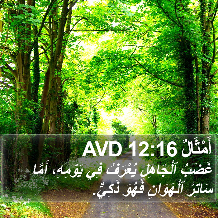 أَمْثَالٌ 12:16 AVD Bible Study