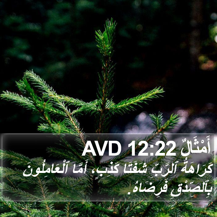 أَمْثَالٌ 12:22 AVD Bible Study