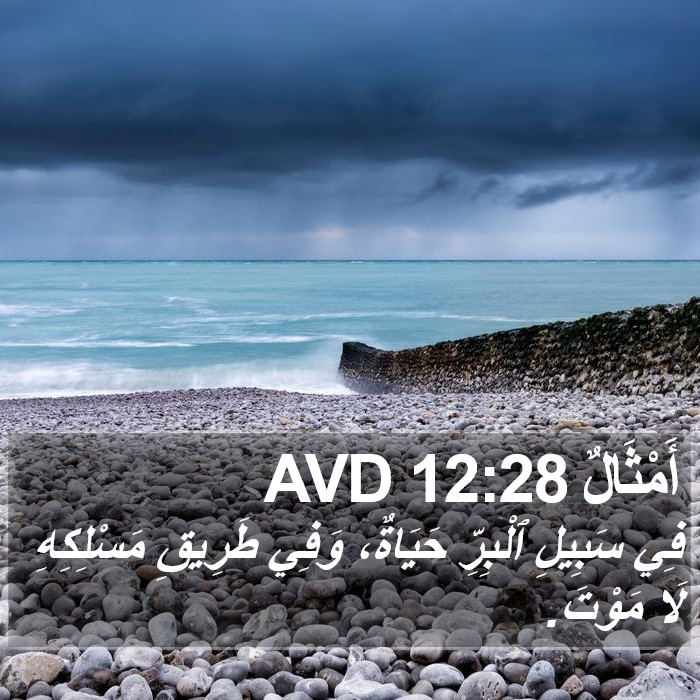 أَمْثَالٌ 12:28 AVD Bible Study