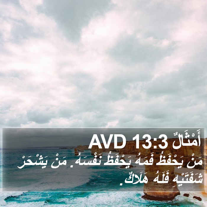 أَمْثَالٌ 13:3 AVD Bible Study
