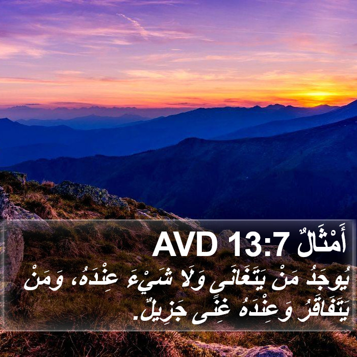 أَمْثَالٌ 13:7 AVD Bible Study