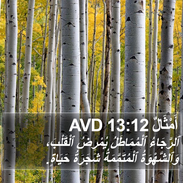 أَمْثَالٌ 13:12 AVD Bible Study
