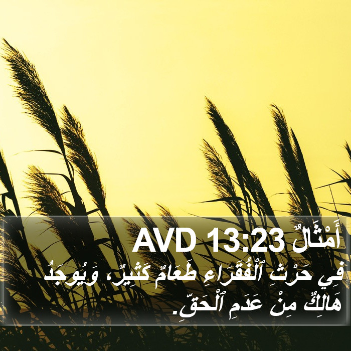 أَمْثَالٌ 13:23 AVD Bible Study