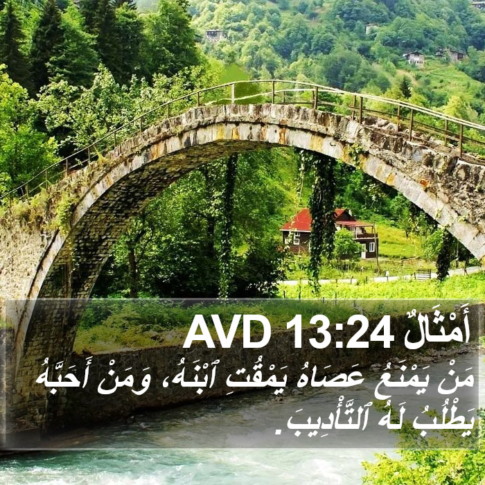 أَمْثَالٌ 13:24 AVD Bible Study