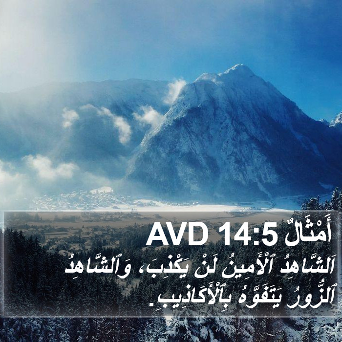 أَمْثَالٌ 14:5 AVD Bible Study