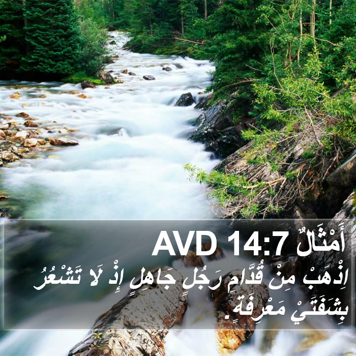 أَمْثَالٌ 14:7 AVD Bible Study