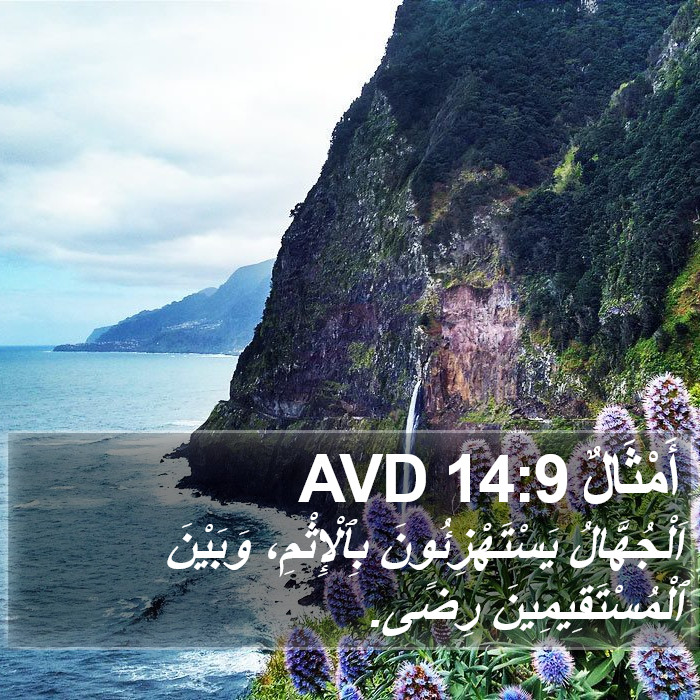 أَمْثَالٌ 14:9 AVD Bible Study
