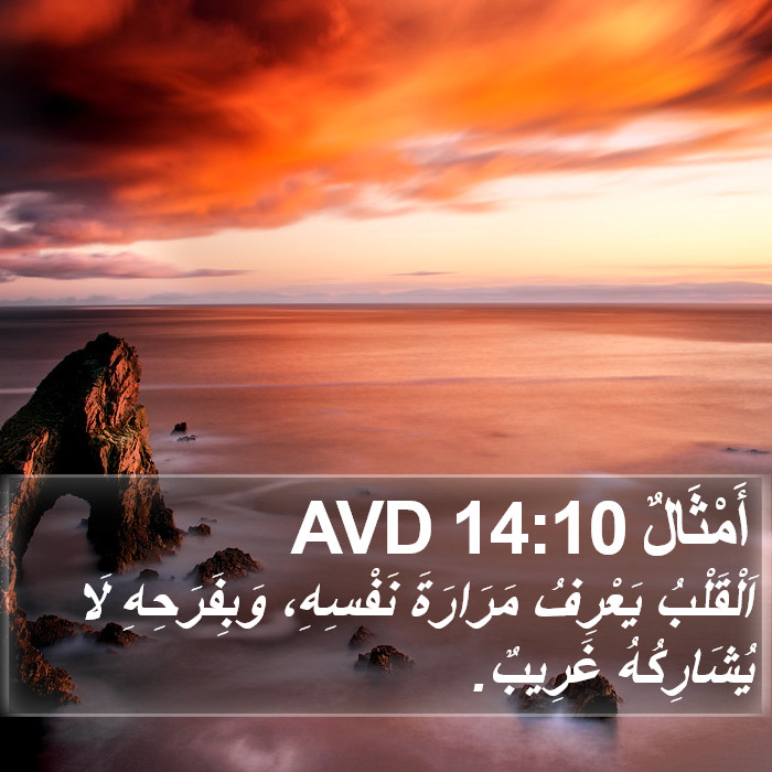 أَمْثَالٌ 14:10 AVD Bible Study