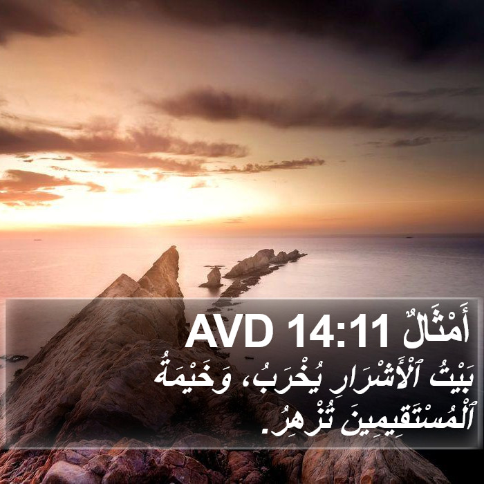 أَمْثَالٌ 14:11 AVD Bible Study
