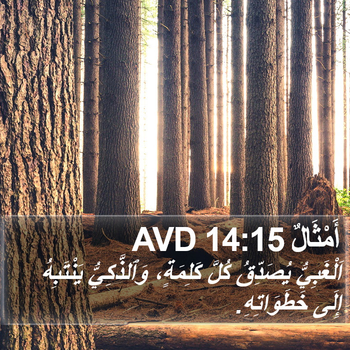 أَمْثَالٌ 14:15 AVD Bible Study