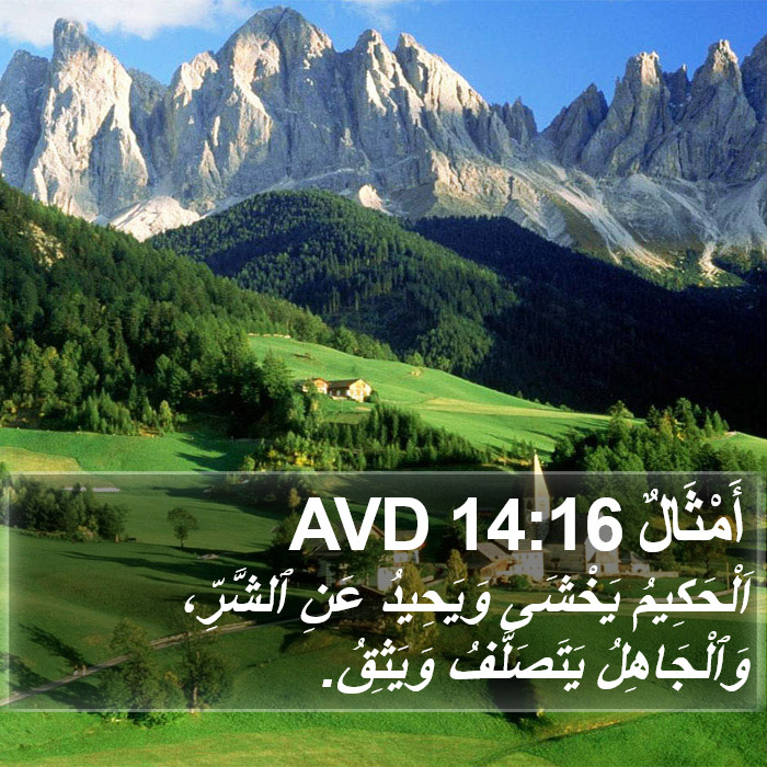أَمْثَالٌ 14:16 AVD Bible Study