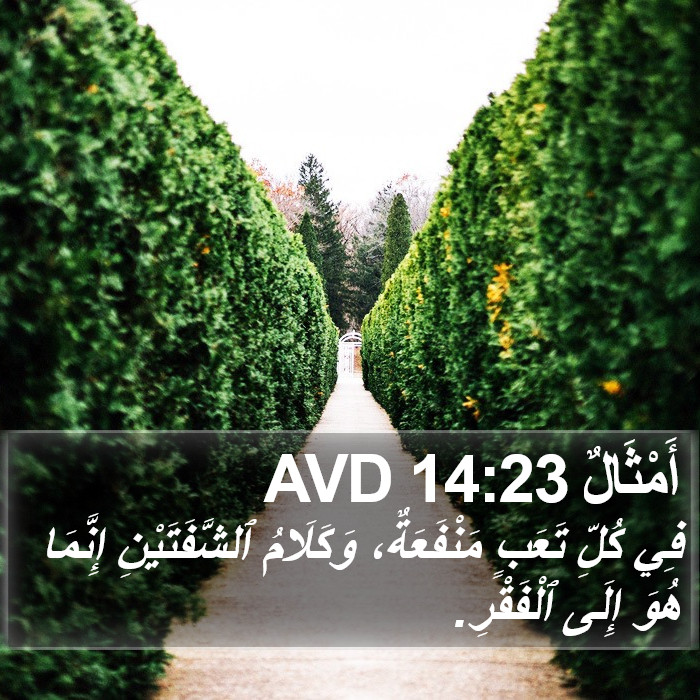أَمْثَالٌ 14:23 AVD Bible Study